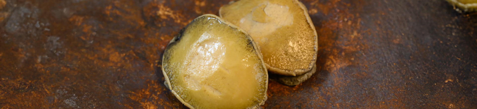 アワビ、カリフラワー